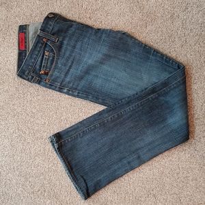 Vintage AG "Angel" Jeans Size 29